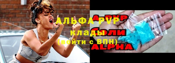 шишки Абаза