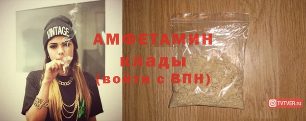 шишки Абаза