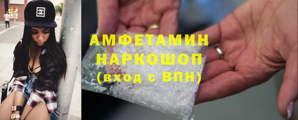 шишки Абаза