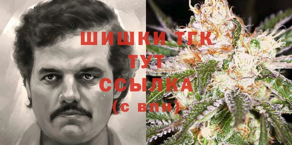 шишки Абаза