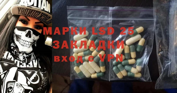 шишки Абаза