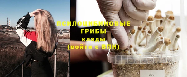 эйфоретик Алексеевка
