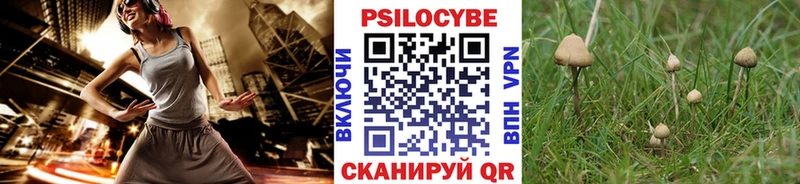 Псилоцибиновые грибы MAGIC MUSHROOMS Курчатов